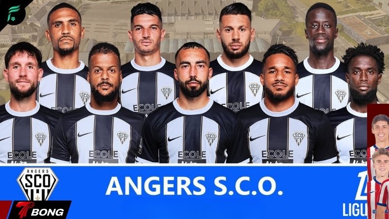 Đội hình hiện tại của Angers